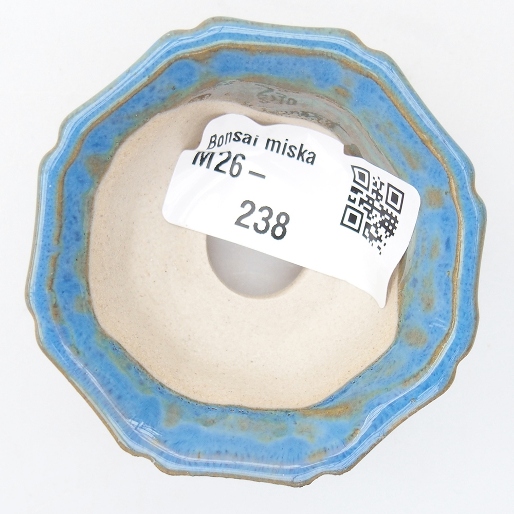 Cuenco mini bonsái 6 x 6 x 2,5 cm, color azul
