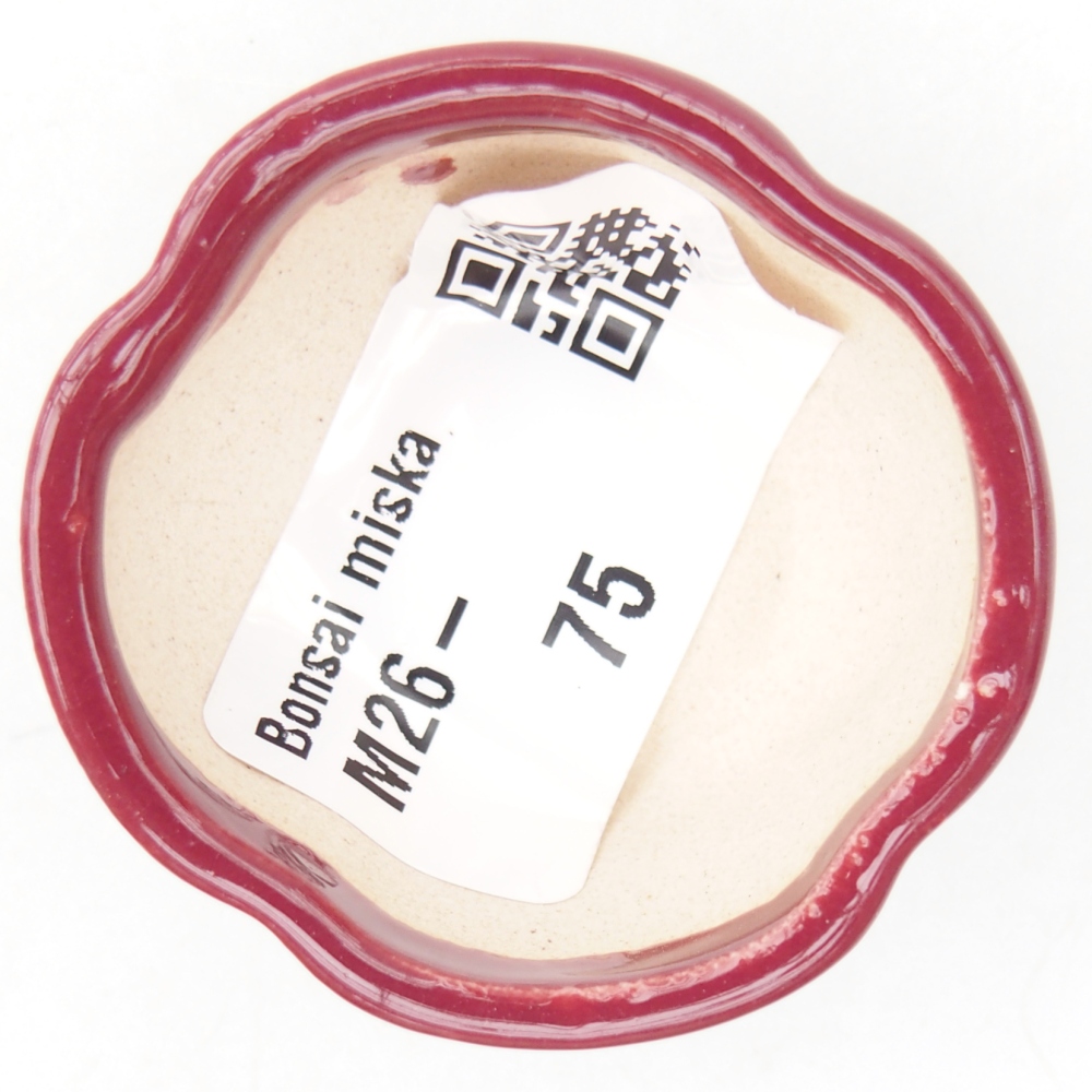 Cuenco mini bonsái 4 x 4 x 2 cm, burdeos