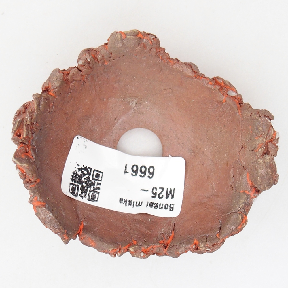 Concha de cerámica 7,5 x 6,5 x 3,5 cm , color naranja