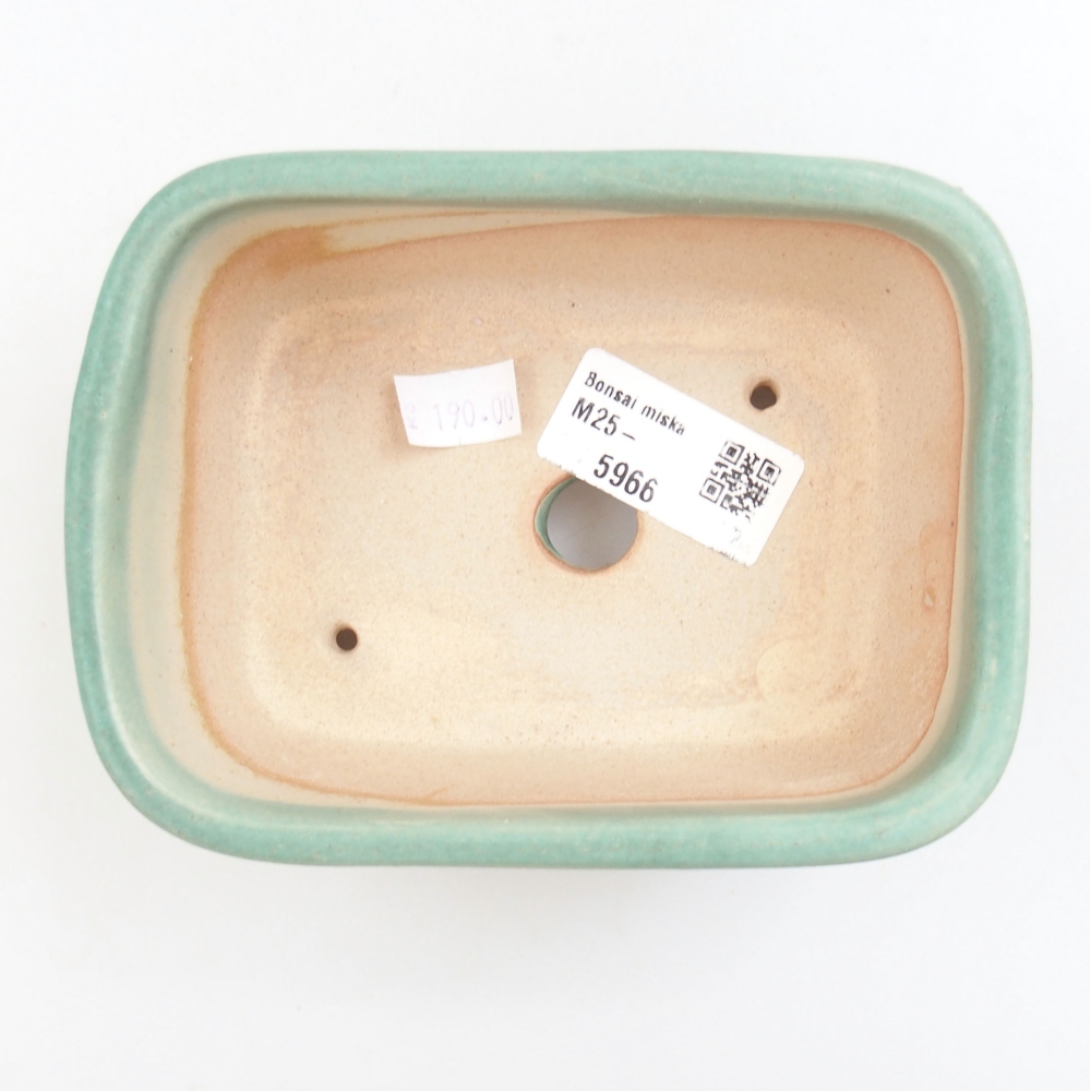Cuenco bonsái de cerámica 22 x 17 x 5 cm, verde
