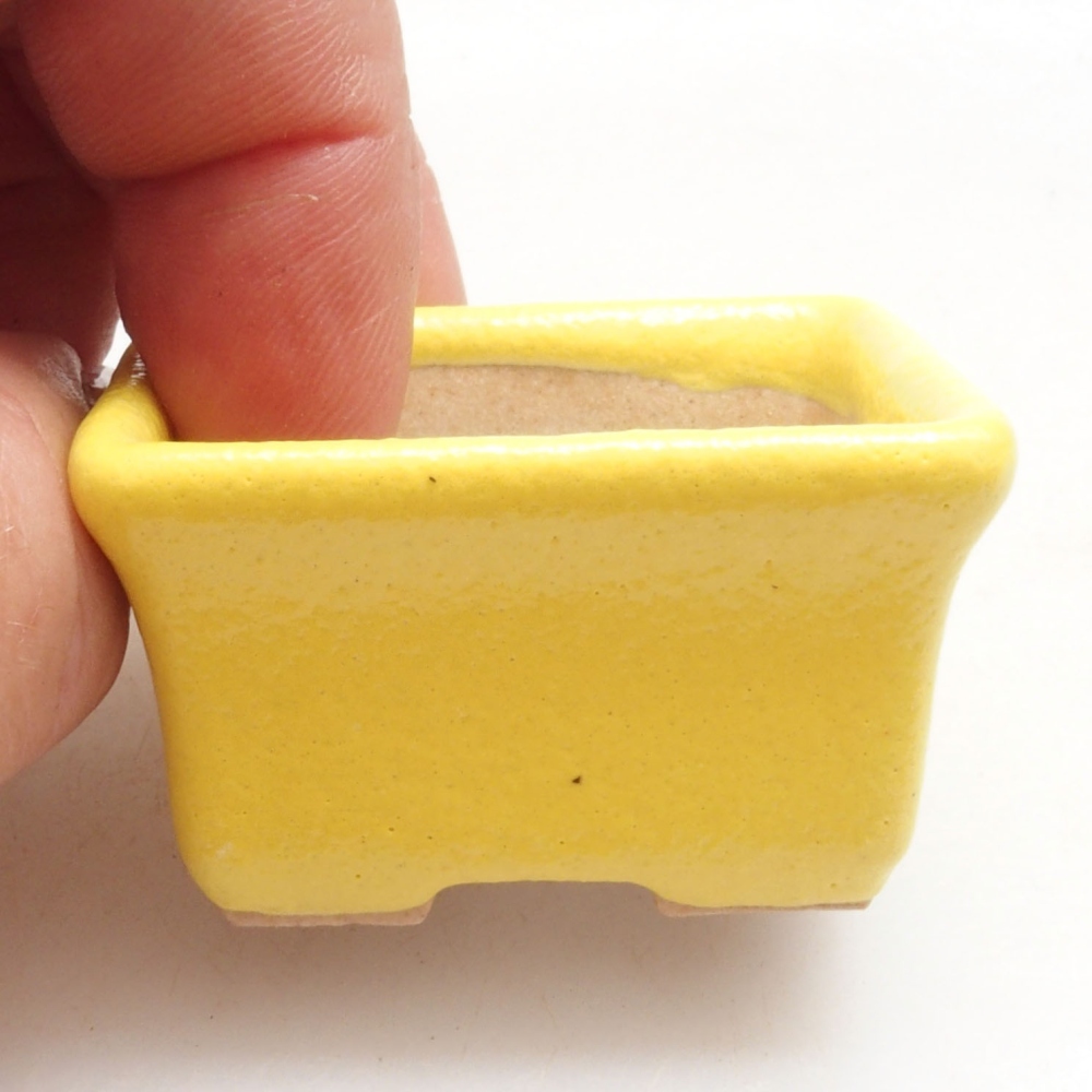 Cuenco bonsái de cerámica 4 x 3,5 x 2,5 cm, amarillo