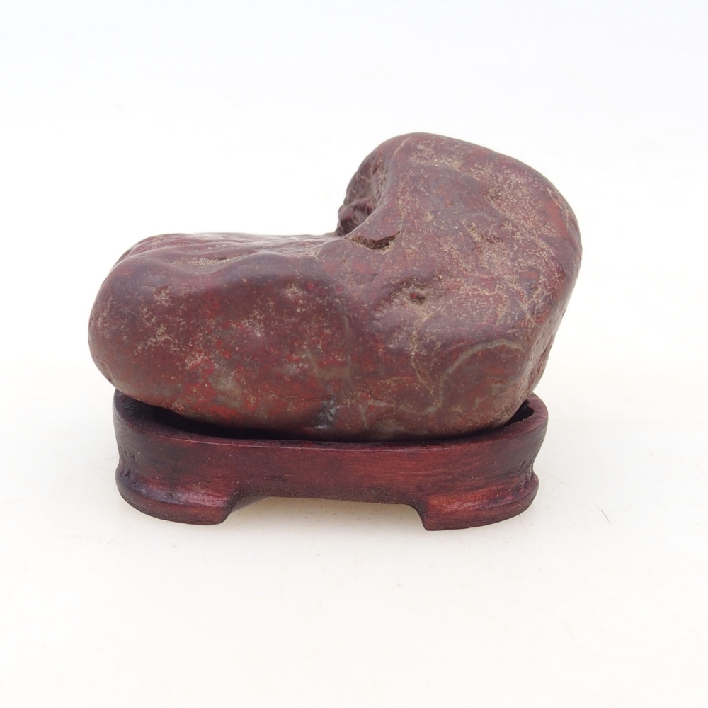 Suiseki - Piedra con DAI (base de madera)