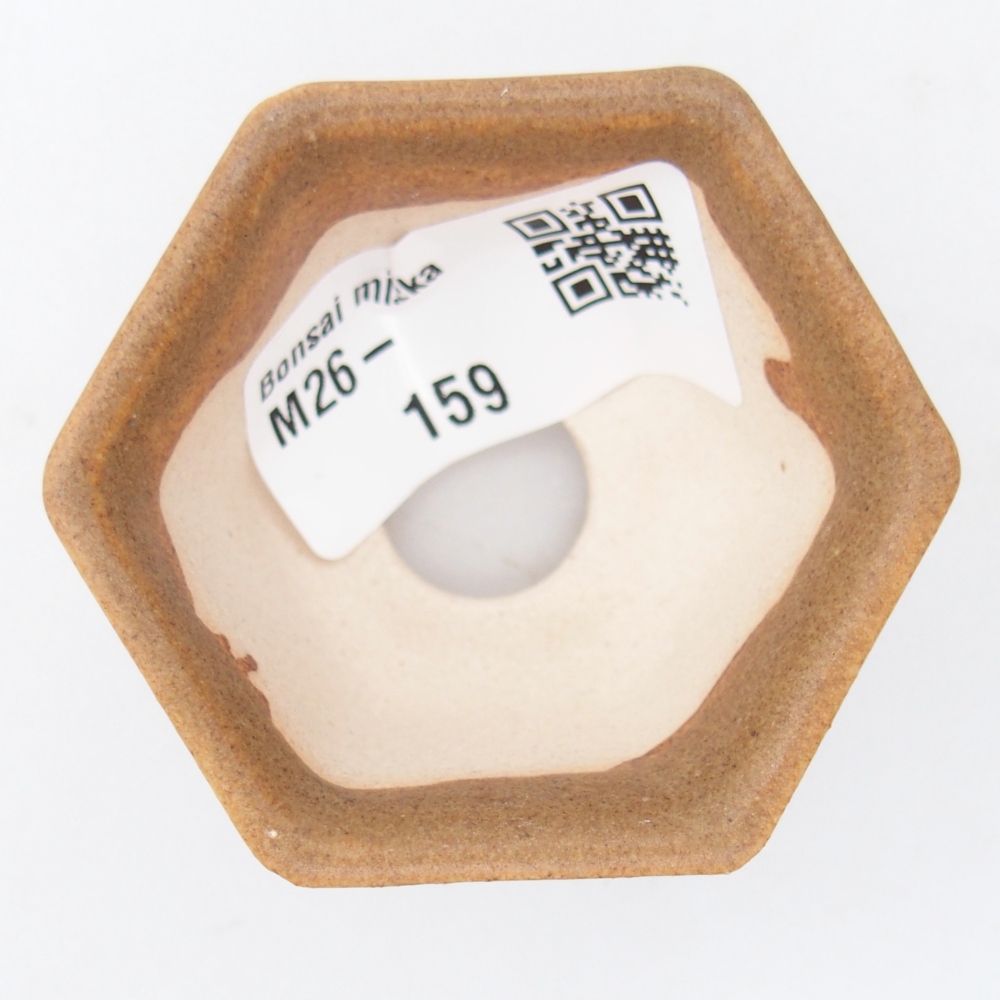 Cuenco mini bonsái 5,5 x 5 x 3 cm, marrón