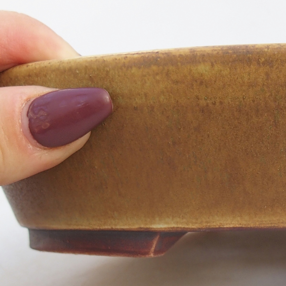 Cuenco bonsái de cerámica 18,5 x 16,5 x 4 cm, verde