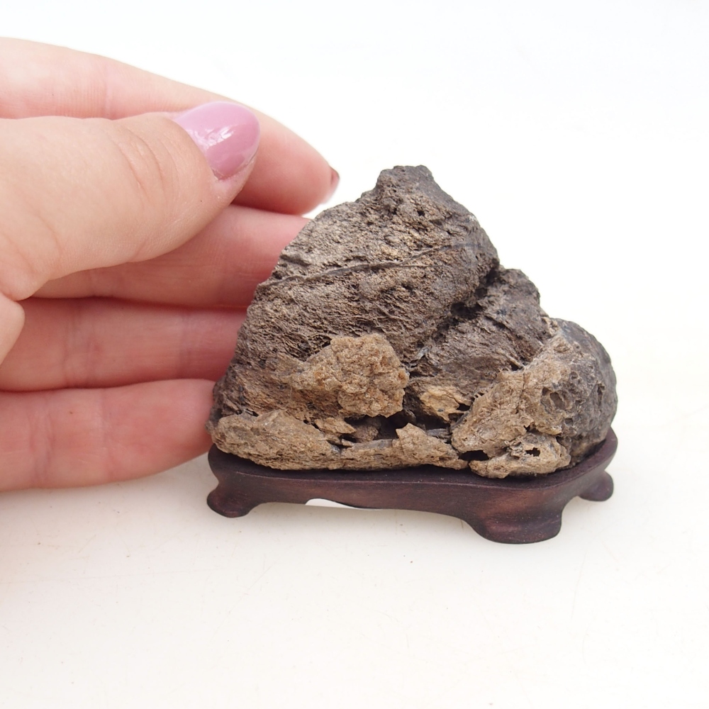 Suiseki - Piedra con DAI (base de madera)