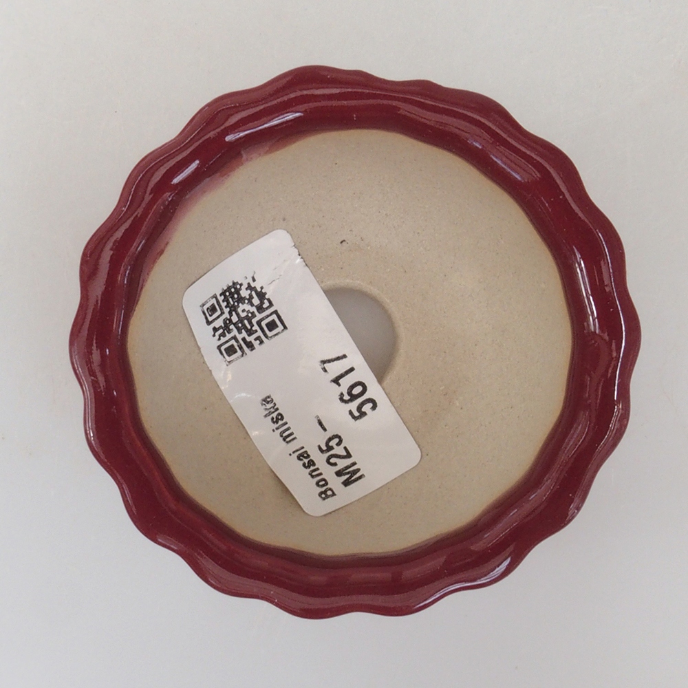 Cuenco mini bonsái 6,5 x 6,5 x 3,5 cm, burdeos