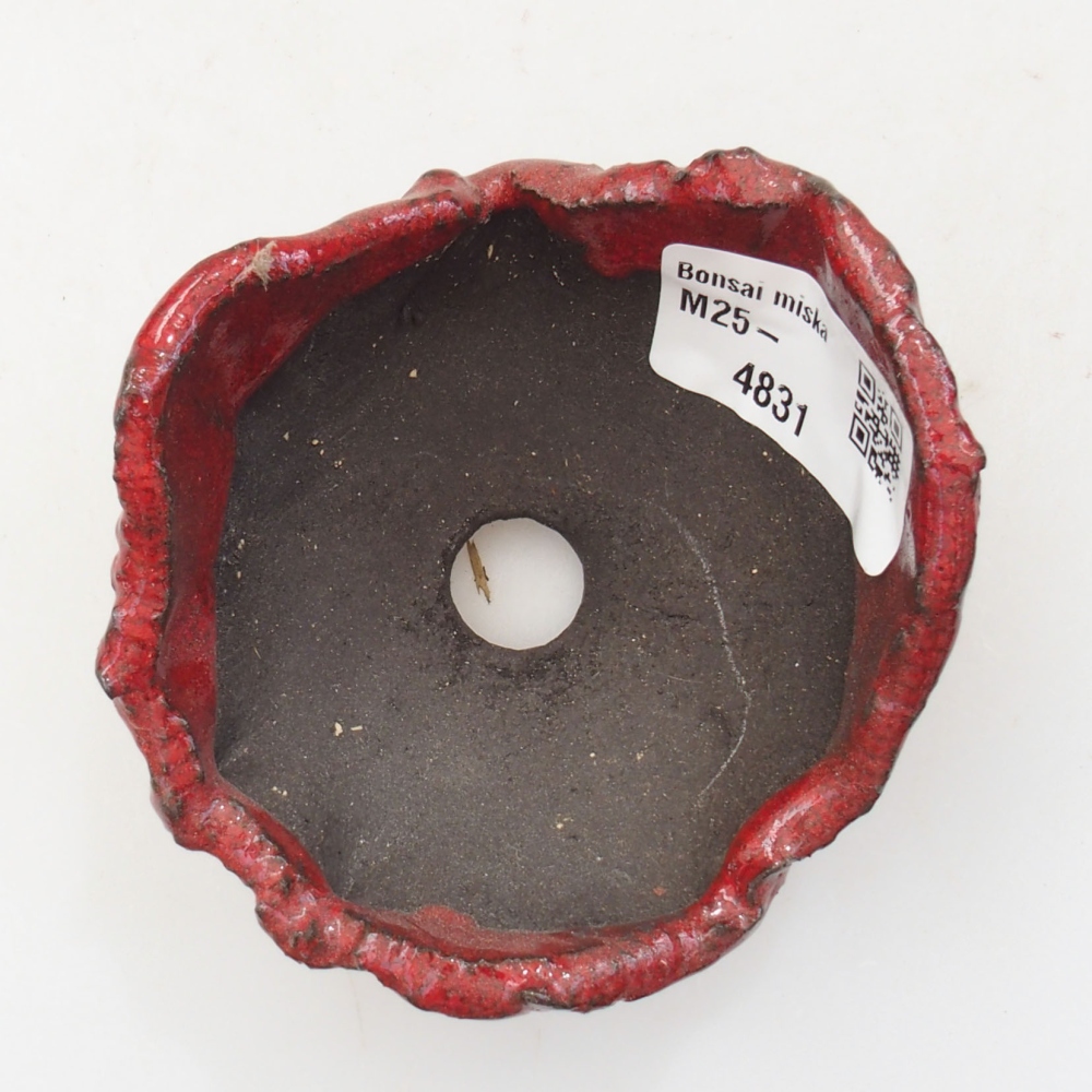 Concha de cerámica 8 x 7,5 x 5 cm , color rojo