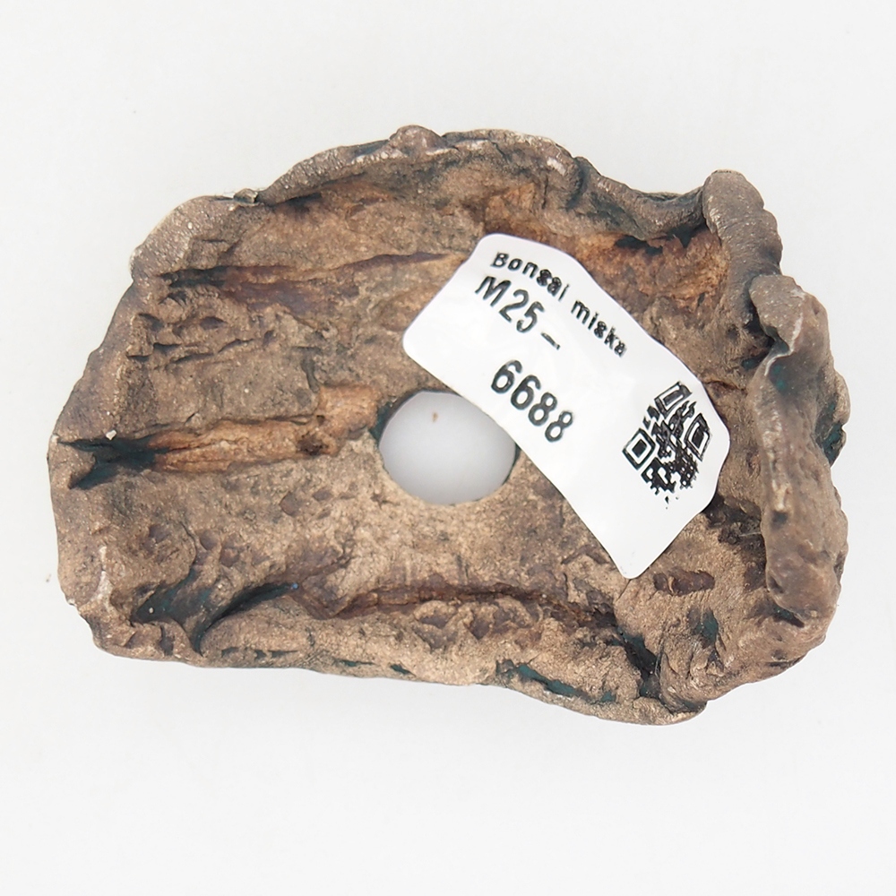 Concha de cerámica 6,5 x 5,5 x 6 cm , color verde