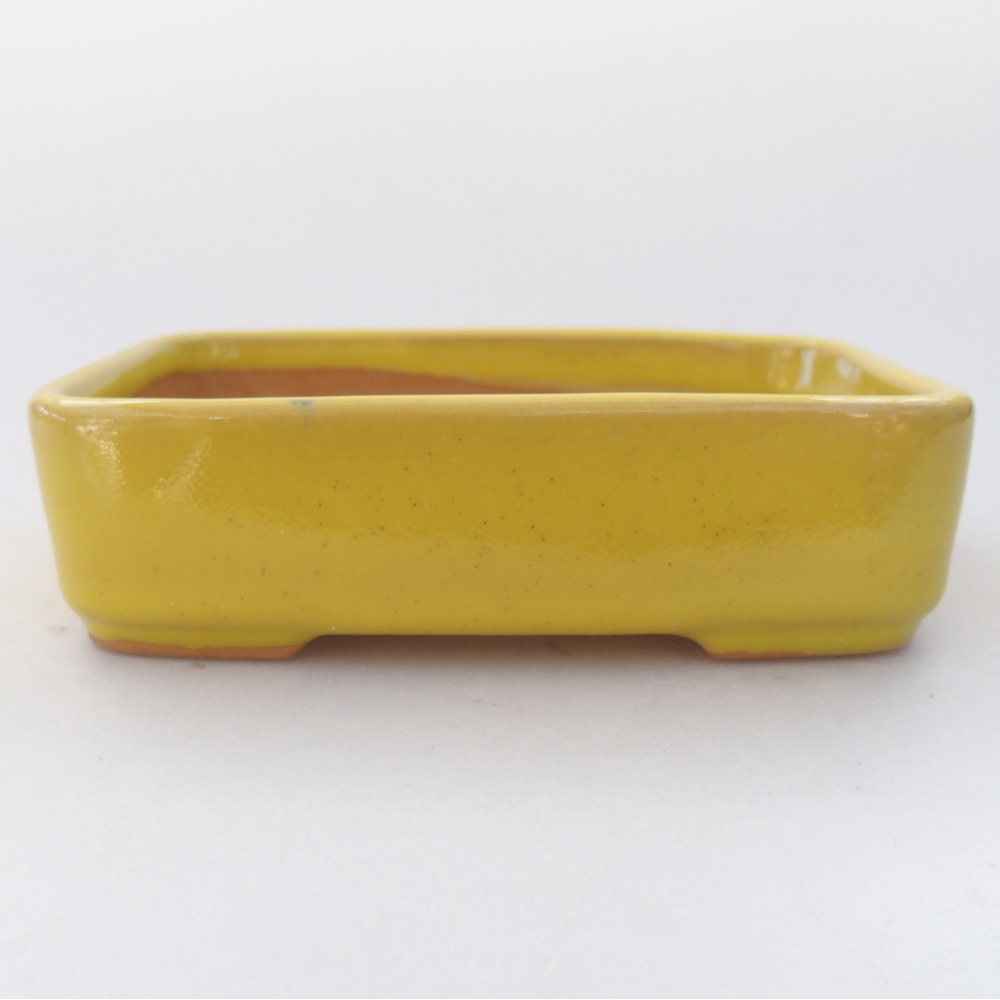 Cuenco bonsái de cerámica 13 x 9,5 x 3,5 cm, amarillo