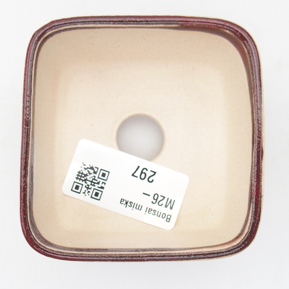 Mini cuenco bonsái 7 x 7 x 4 cm, color rojo