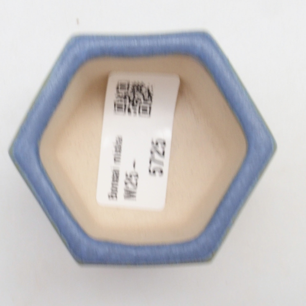 Cuenco mini bonsái 6 x 5,5 x 4 cm, color azul