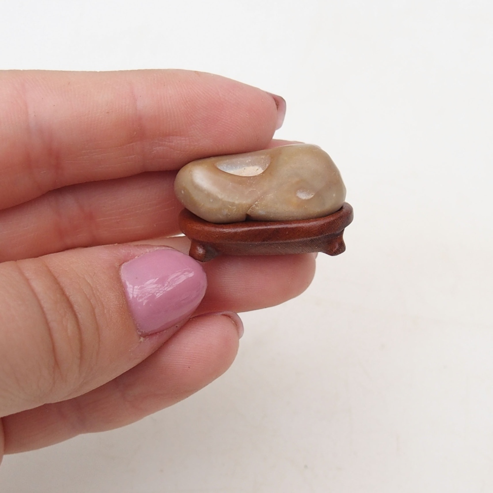 Suiseki - Piedra con DAI (base de madera)