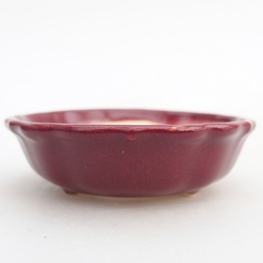 Mini cuenco bonsái 7,5 x 7,5 x 2,5 cm, burdeos