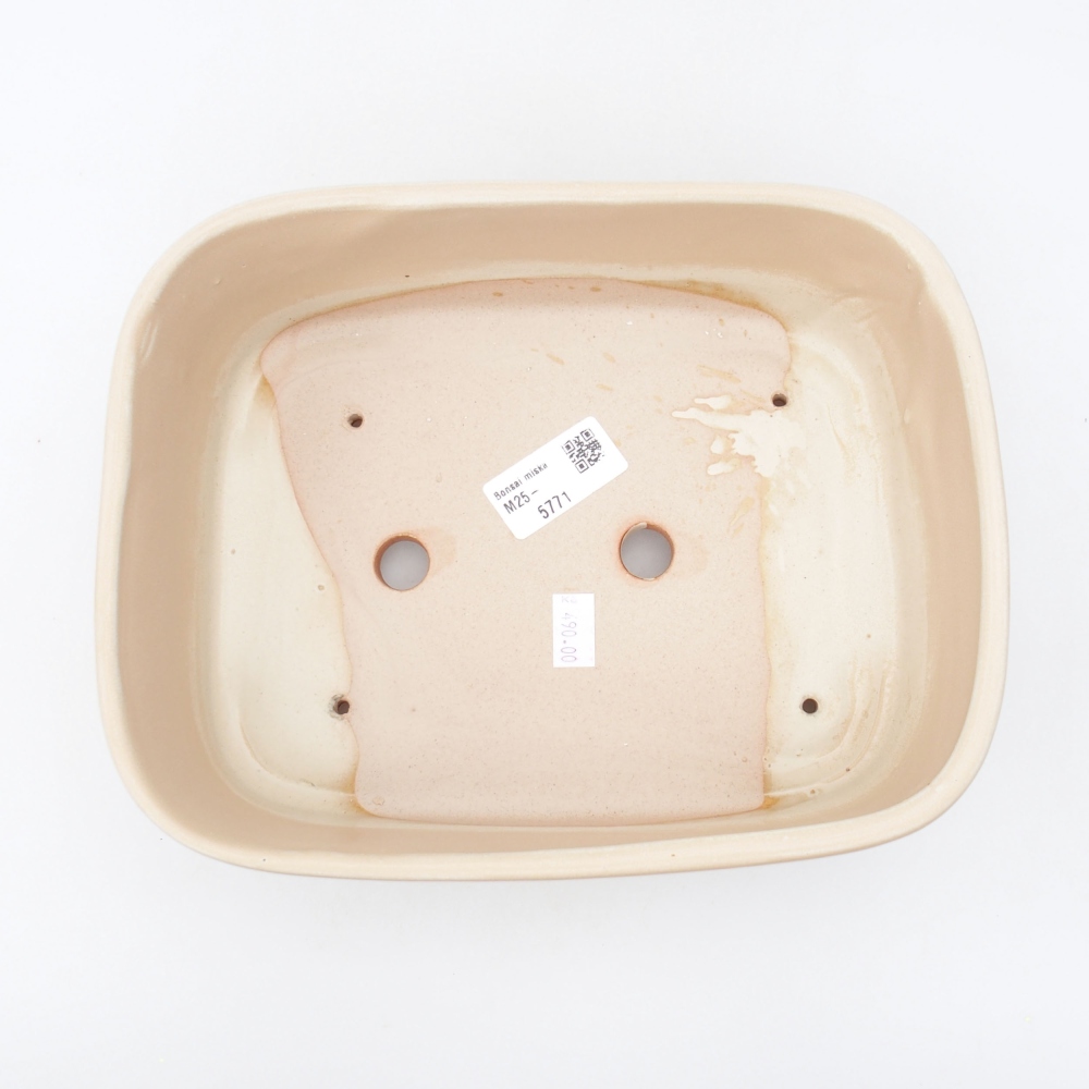 Cuenco bonsái de cerámica 23 x 18 x 7,5 cm, color beige