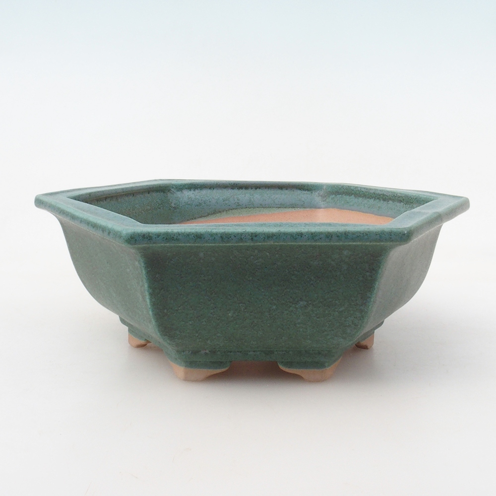 Cuenco bonsái + platillo H53 - 19 x 21,5 x 7 cm - verde