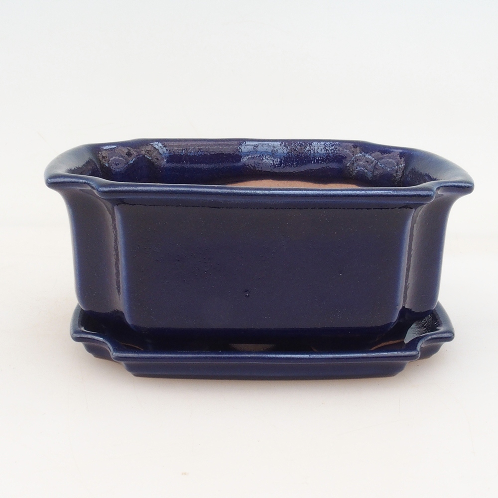 Bonsai cuenco + platillo H01 - azul