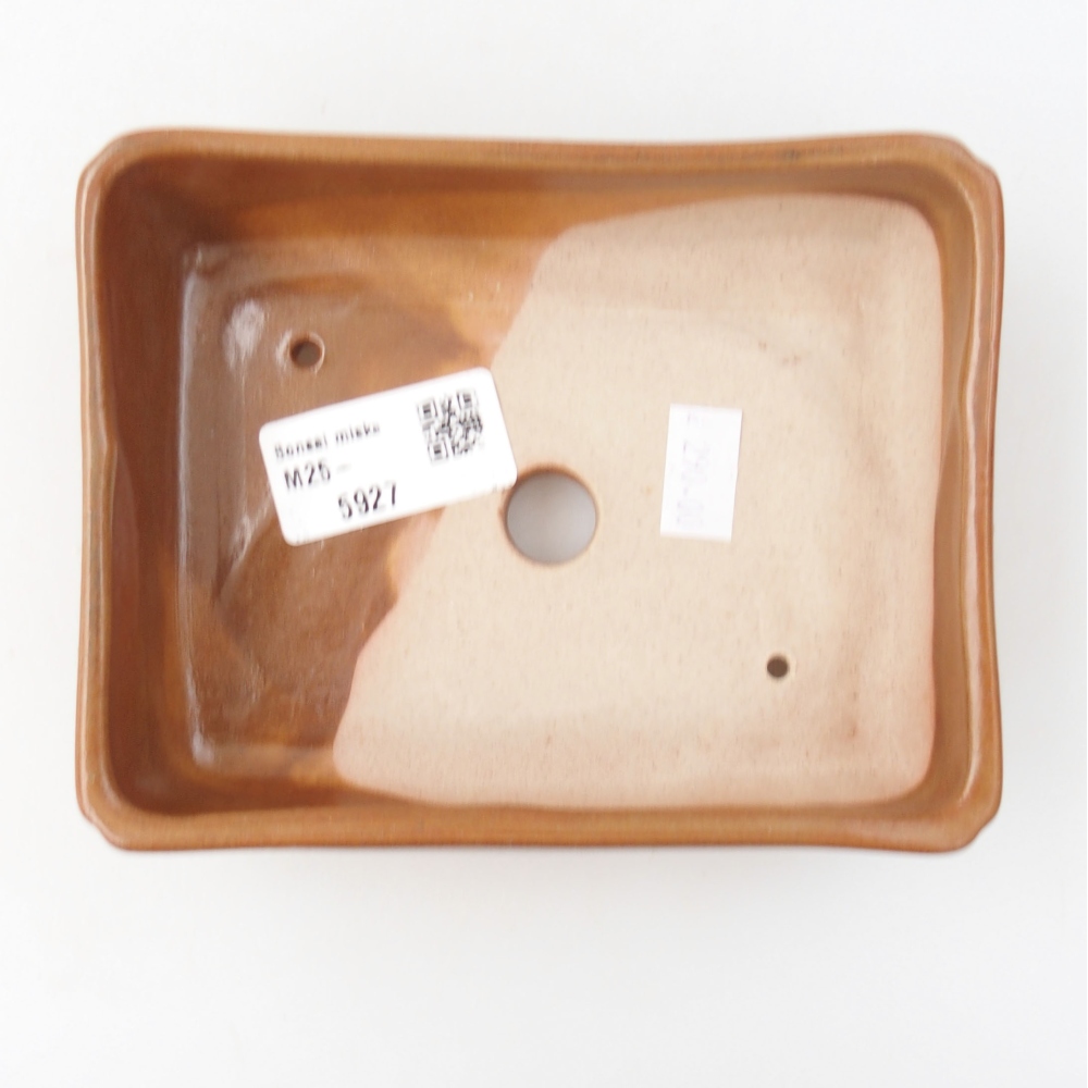 Cuenco bonsái de cerámica 22 x 17 x 5 cm, verde