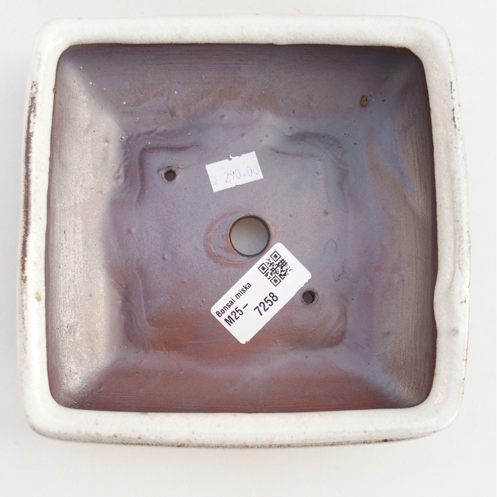 Cuenco bonsái de cerámica 15,5 x 15,5 x 6 cm, blanco