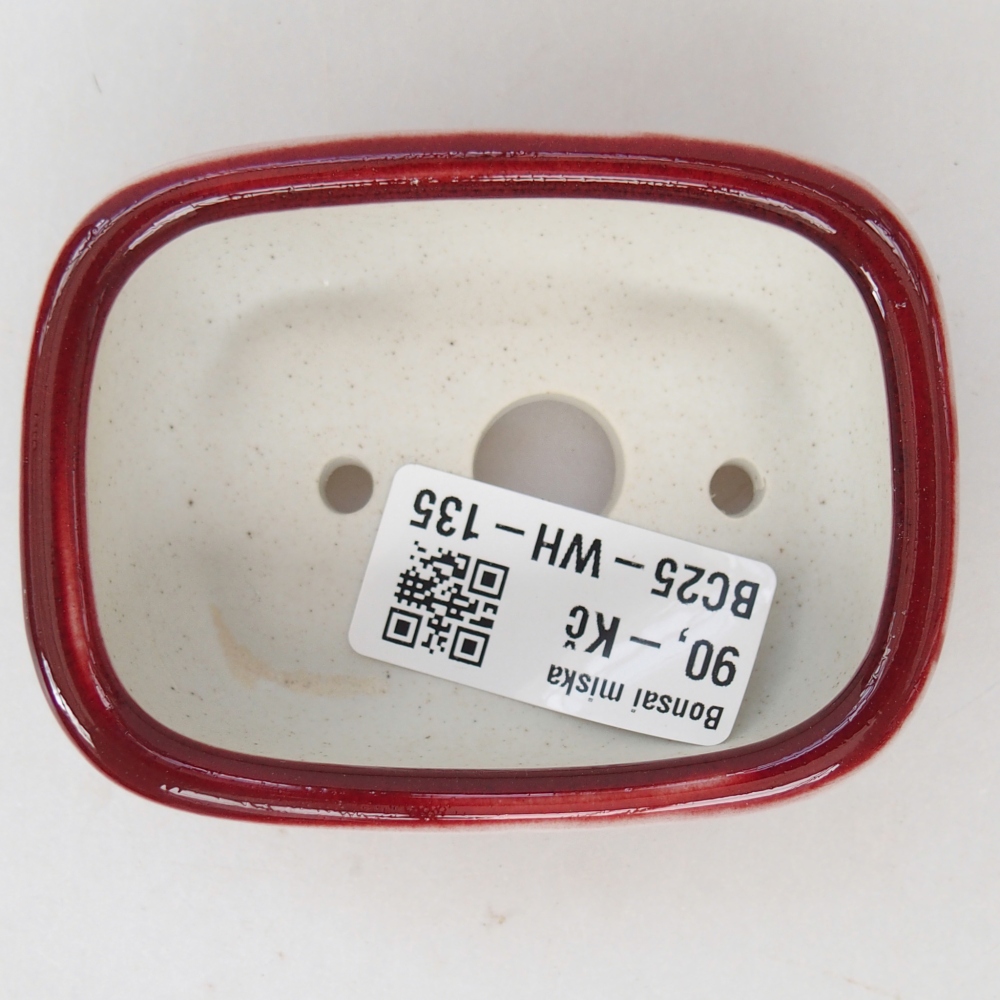 Mini cuenco bonsái 8 x 6 x 3 cm, color rojo