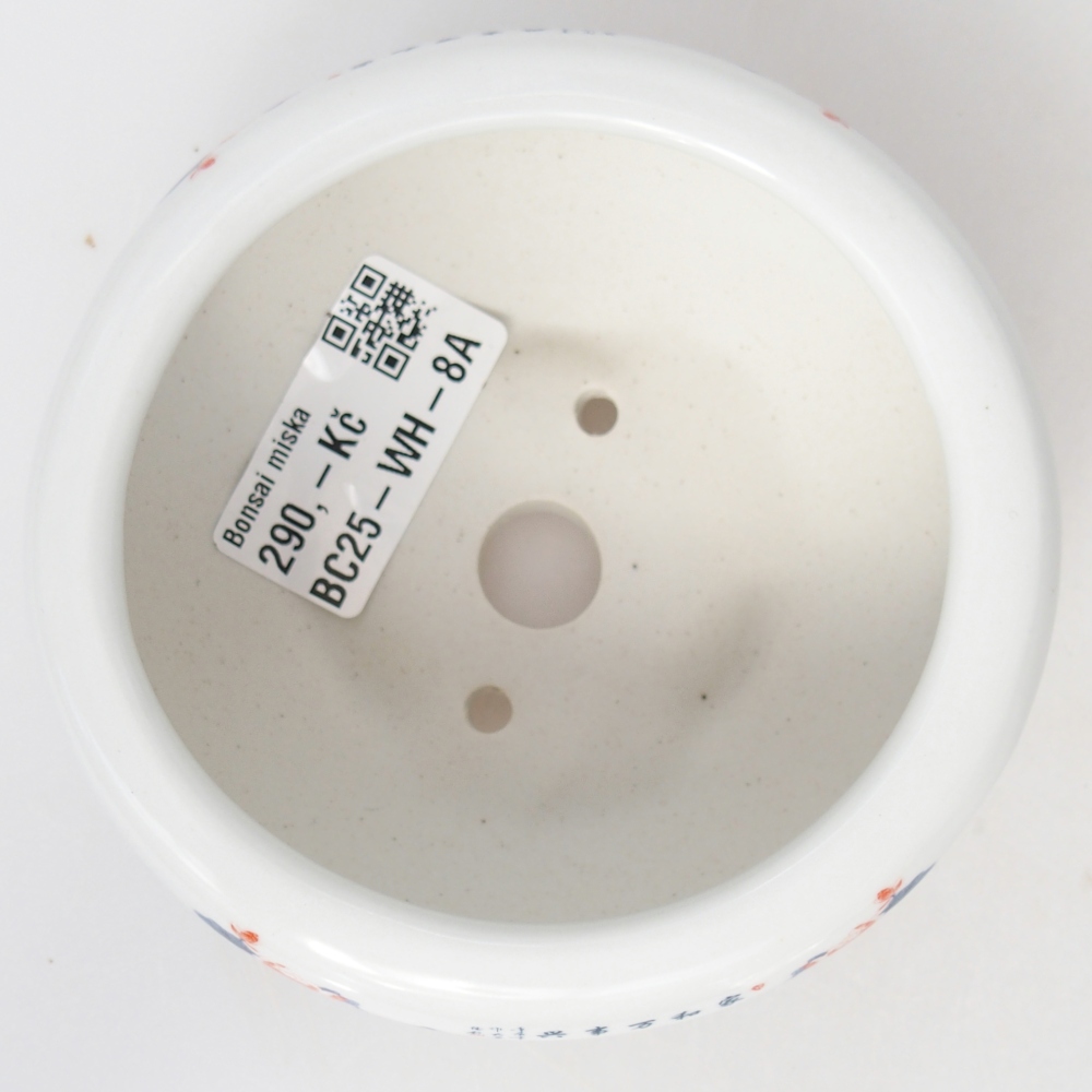 Cuenco bonsái de cerámica 10 x 10 x 5 cm, color blanco