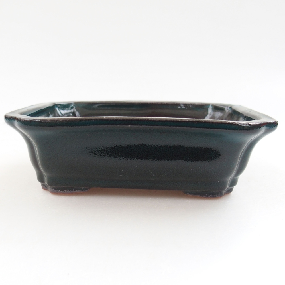 Cuenco bonsái de cerámica 22 x 17 x 5 cm, verde