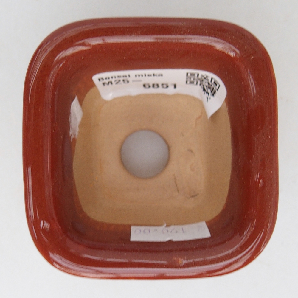 Cuenco bonsái de cerámica 6,5 x 6,5 x 4,5 cm, marrón