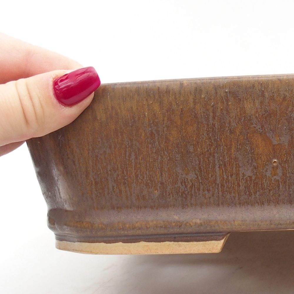 Cuenco bonsái de cerámica 24,5 x 21 x 6 cm, marrón