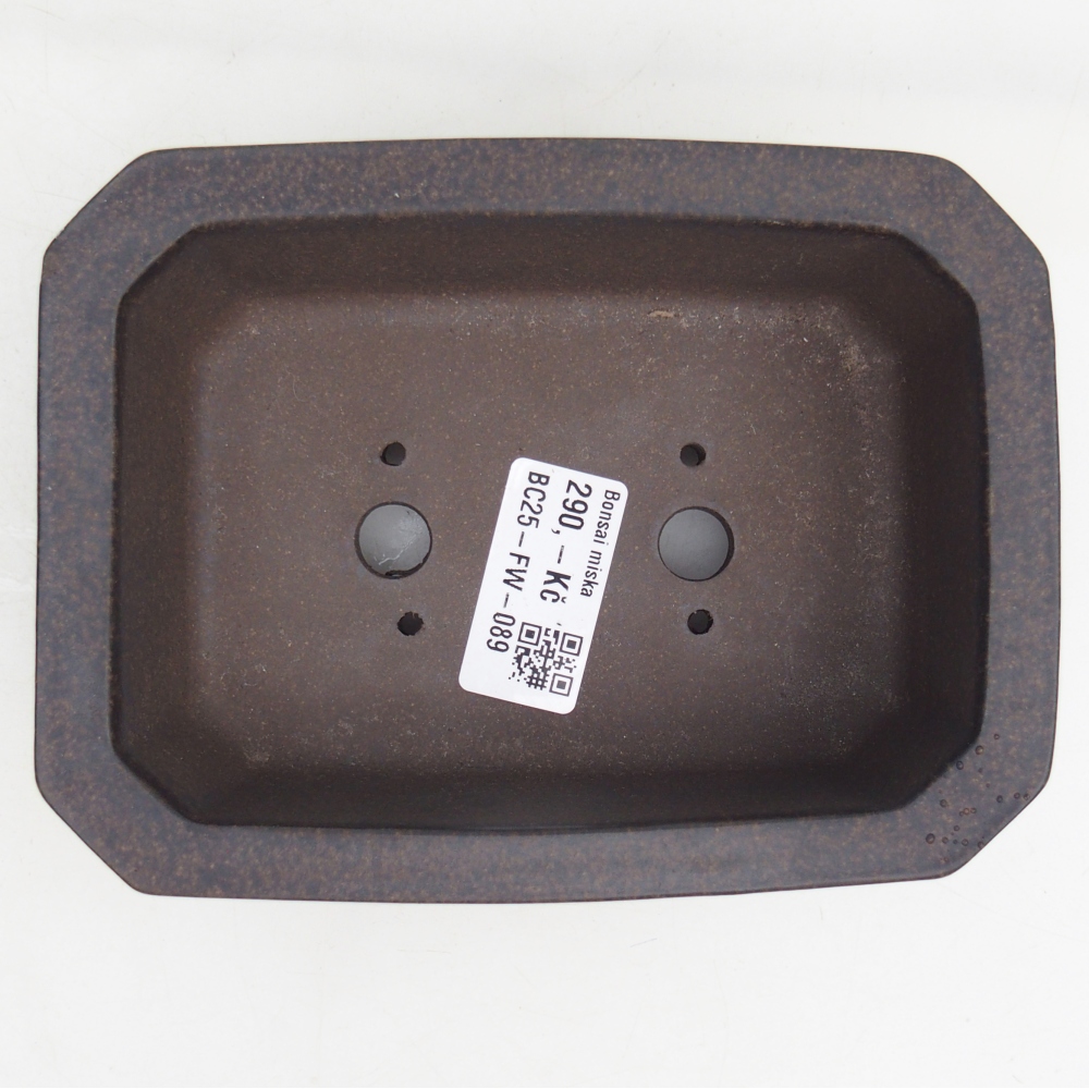 Cuenco bonsái de cerámica 15 x 11 x 5 cm, ocre pardusco