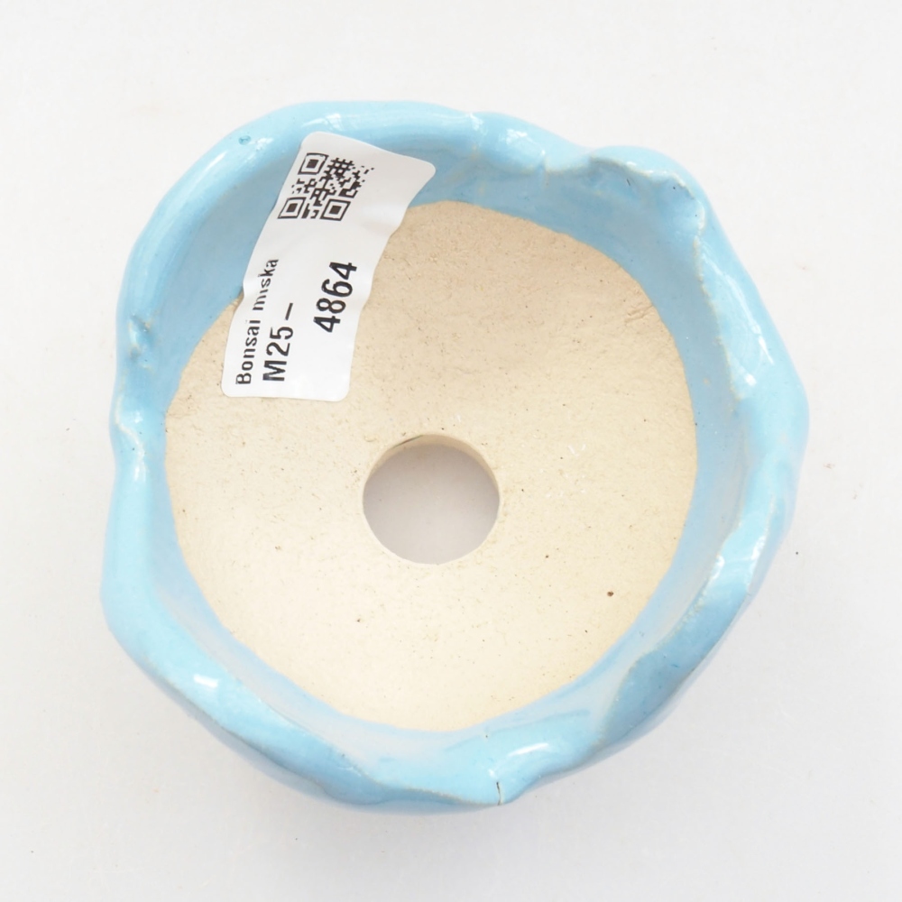 Concha de cerámica 7 x 7 x 6 cm , color azul