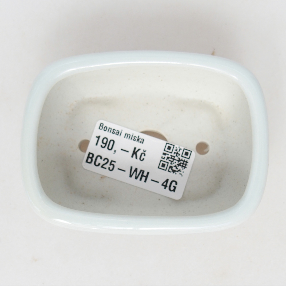Mini cuenco bonsái 8 x 6 x 3 cm, blanco