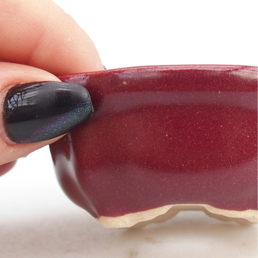 Cuenco mini bonsái 6,5 x 6,5 x 3 cm, burdeos