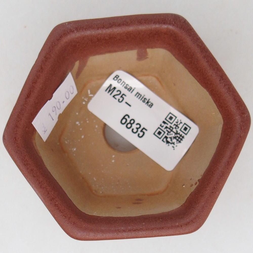Cuenco bonsái de cerámica 7,5 x 7 x 4 cm, marrón