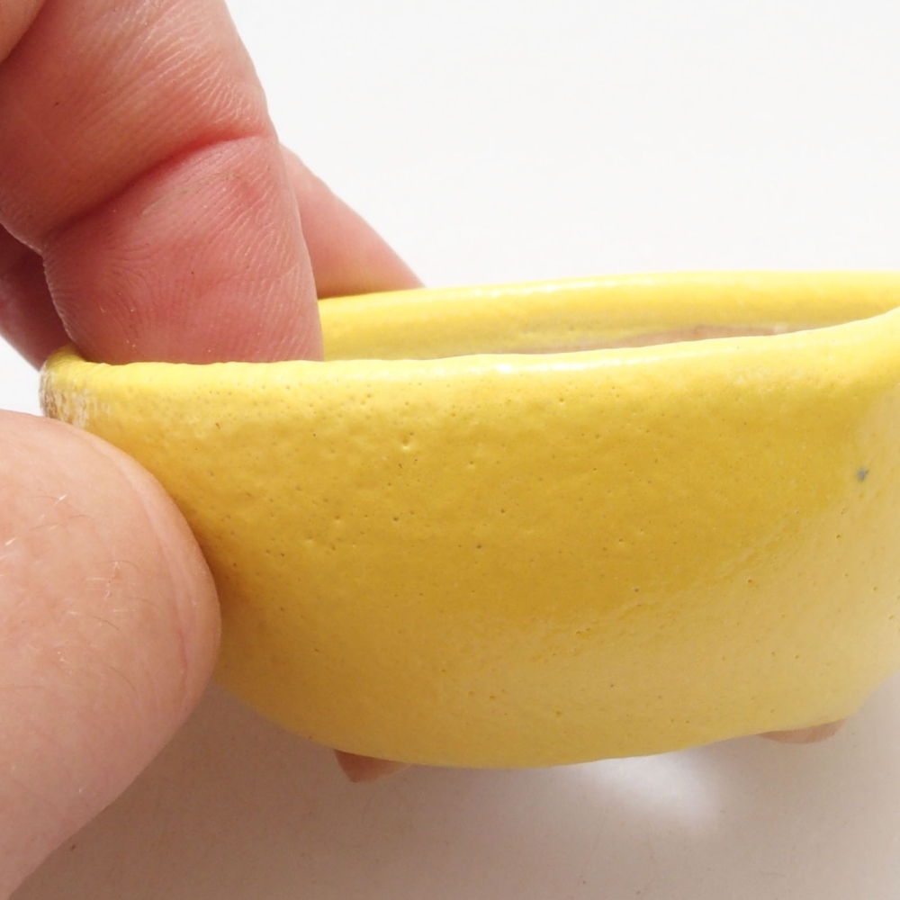 Cuenco bonsái de cerámica 6 x 6 x 2,5 cm, amarillo