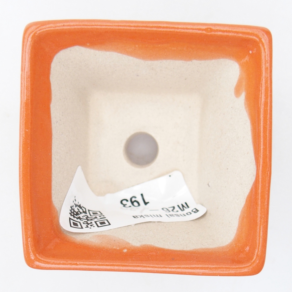 Mini cuenco bonsái 5,5 x 5,5 x 3 cm, naranja