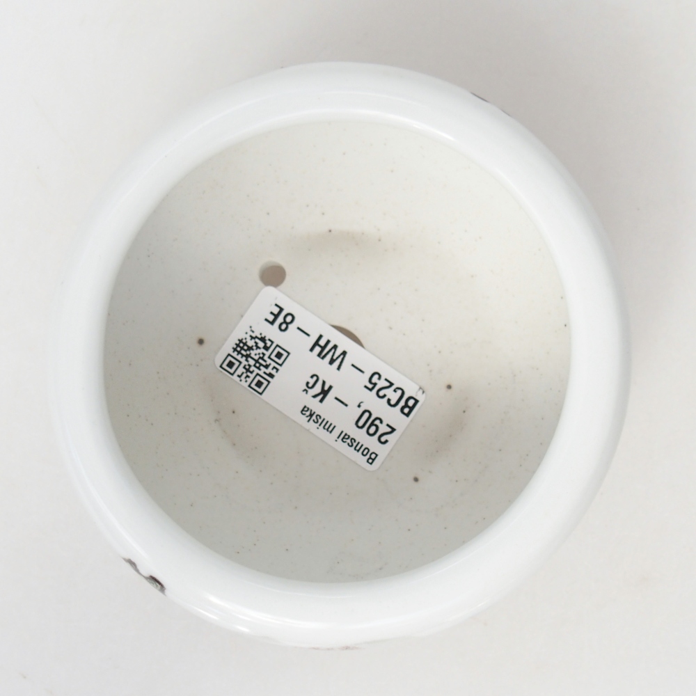 Cuenco bonsái de cerámica 10 x 10 x 5 cm, color blanco