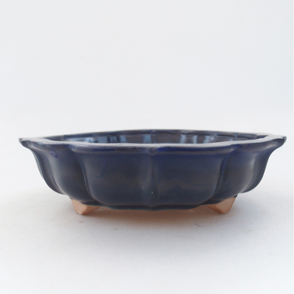Cuenco bonsái de cerámica 19 x 19 x 5 cm, color azul