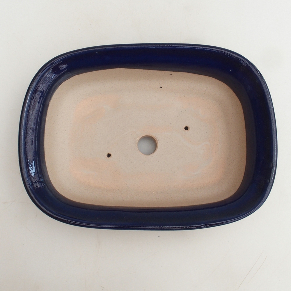 Cuenco bonsái H25 - 23 x 17 x 5,5 cm - azul