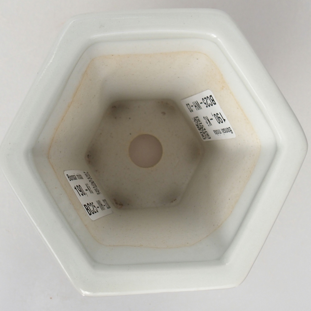 Cuenco bonsái de cerámica 10 x 9 x 9 cm, color blanco