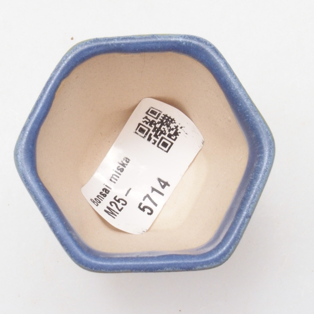 Mini cuenco bonsái 5 x 5 x 5 cm, color azul