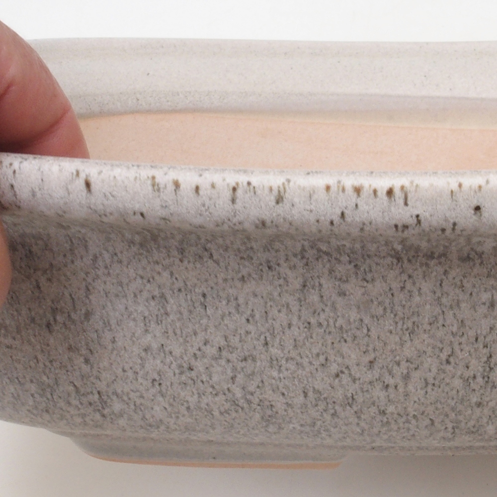 Cuenco bonsái H10 - 37 x 28 x 9 cm - beige