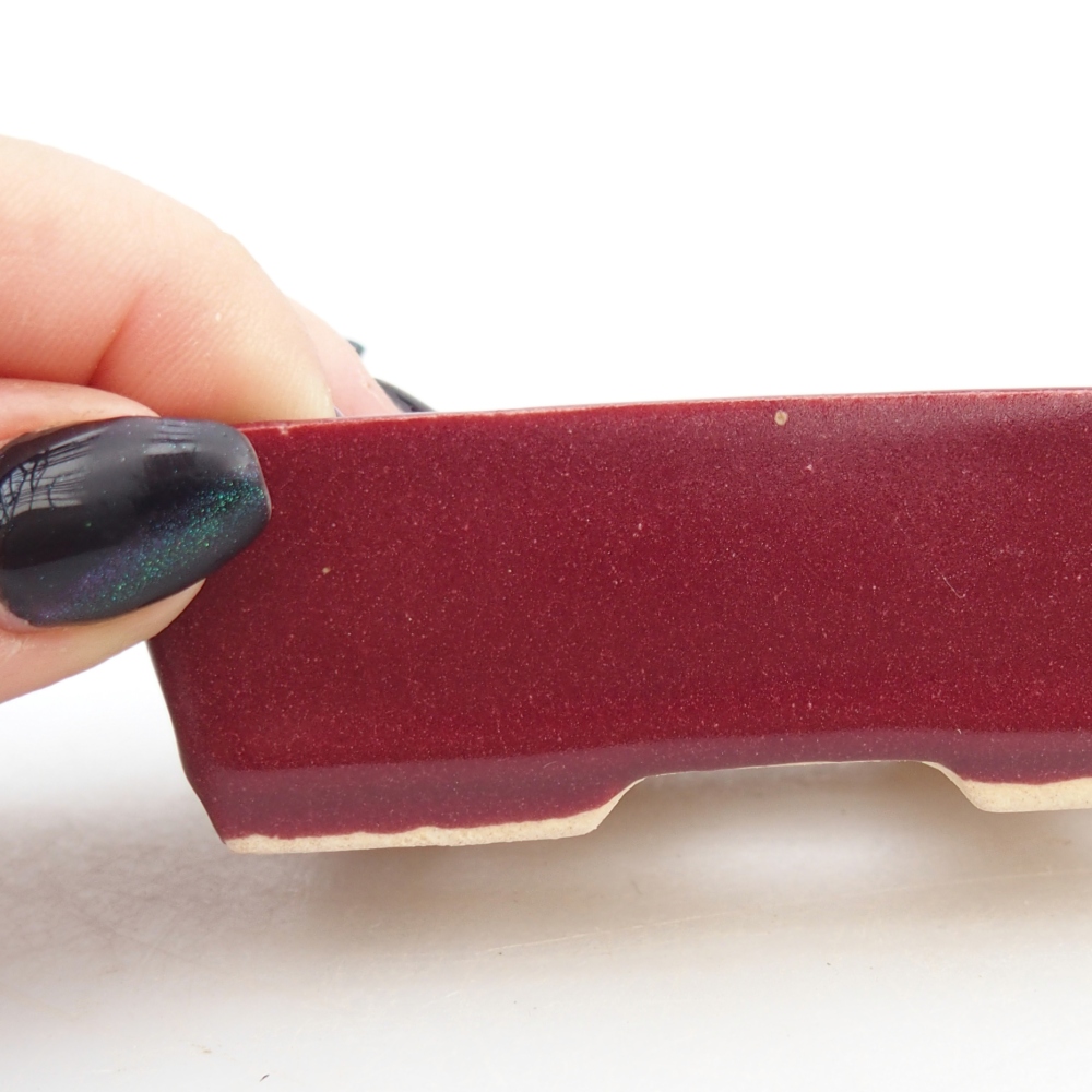 Mini cuenco bonsái 8 x 6 x 2,5 cm, burdeos