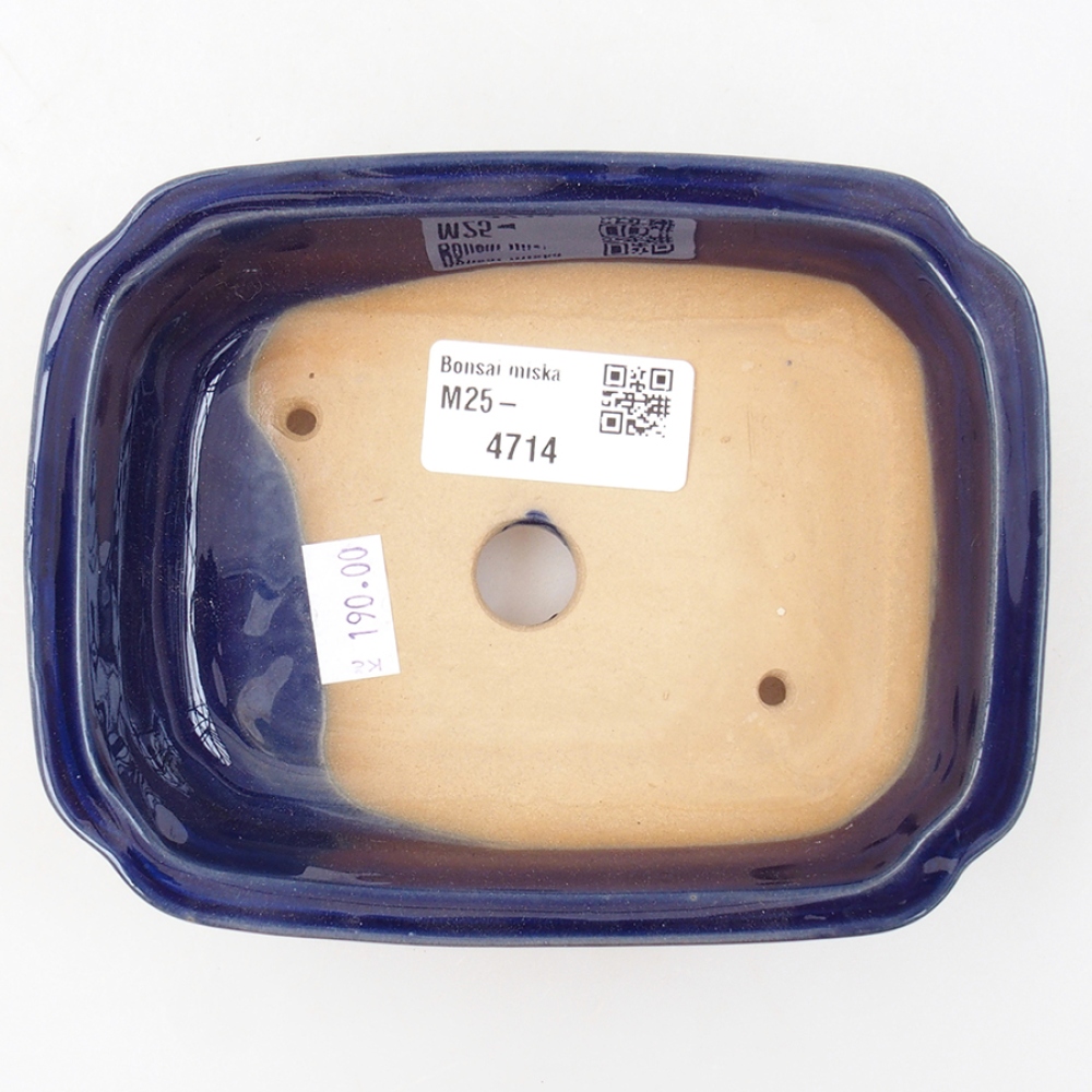Cuenco bonsái de cerámica 14 x 11 x 4 cm, color azul