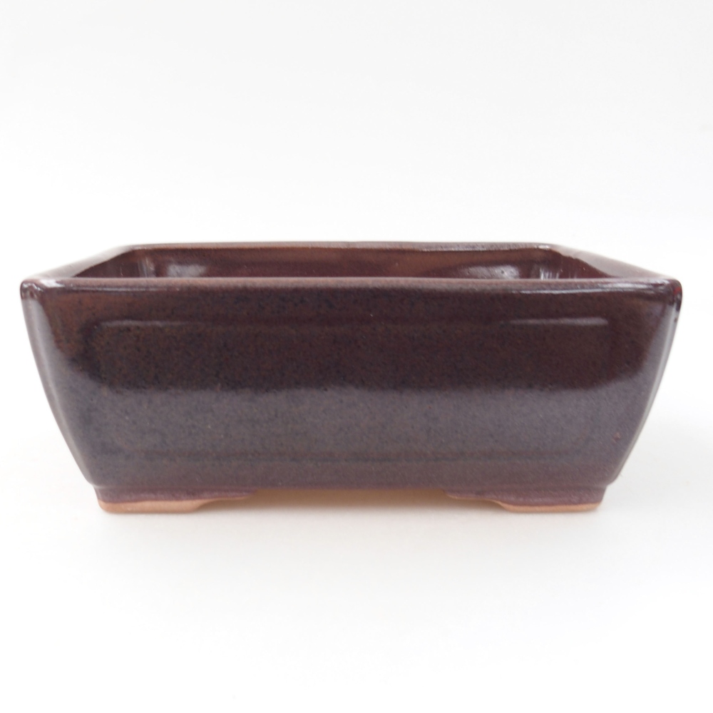 Cuenco bonsái de cerámica 22 x 17 x 5 cm, verde