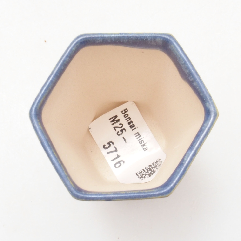 Cuenco mini bonsái 4,5 x 4,5 x 6,5 cm, color azul