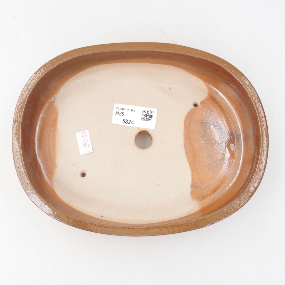 Cuenco bonsái de cerámica 22 x 16,5 x 4 cm, marrón