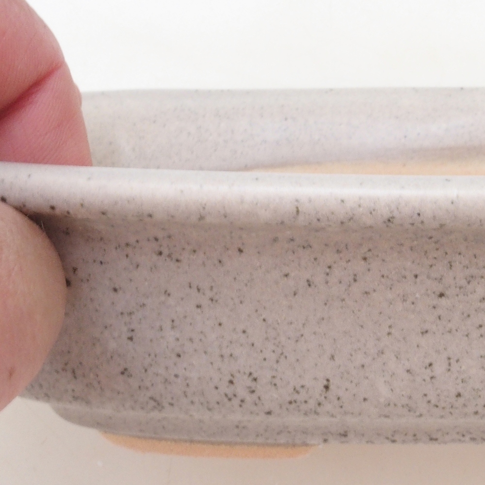 Cuenco bonsái H02 - 19 x 13 x 5 cm - beige