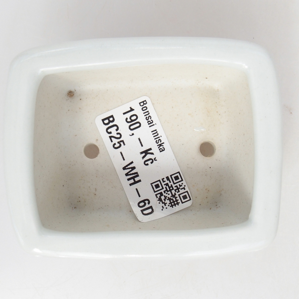 Cuenco mini bonsái 8 x 6,5 x 3,5 cm, blanco