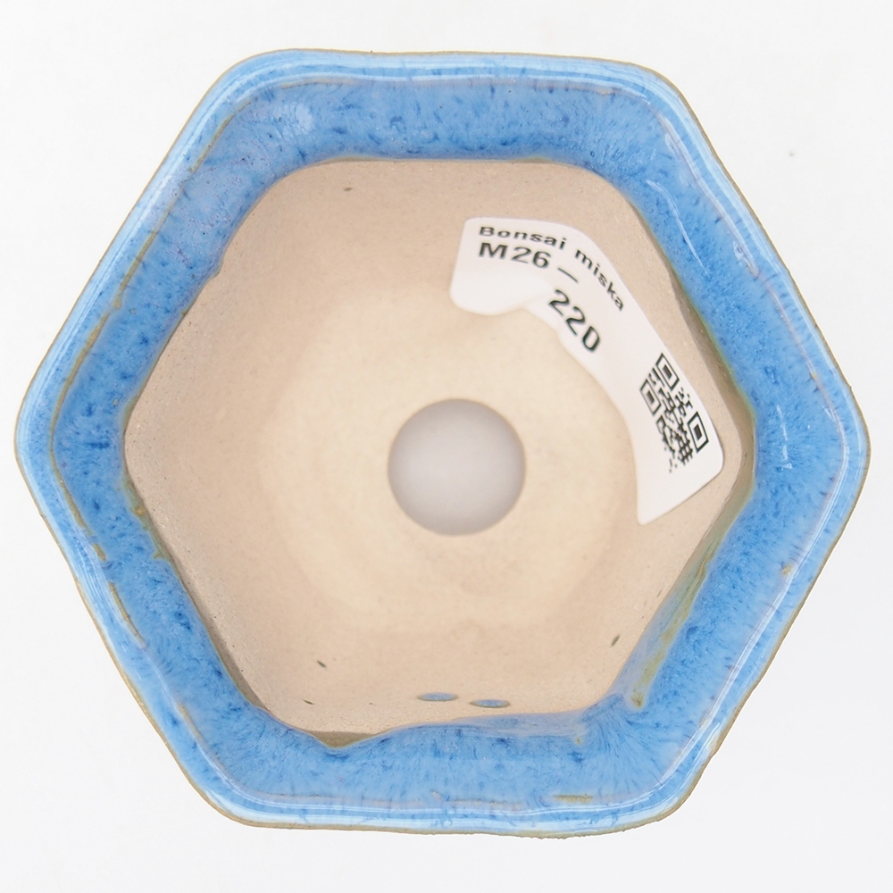 Cuenco mini bonsái 4 x 6,5 x 5 cm, color azul