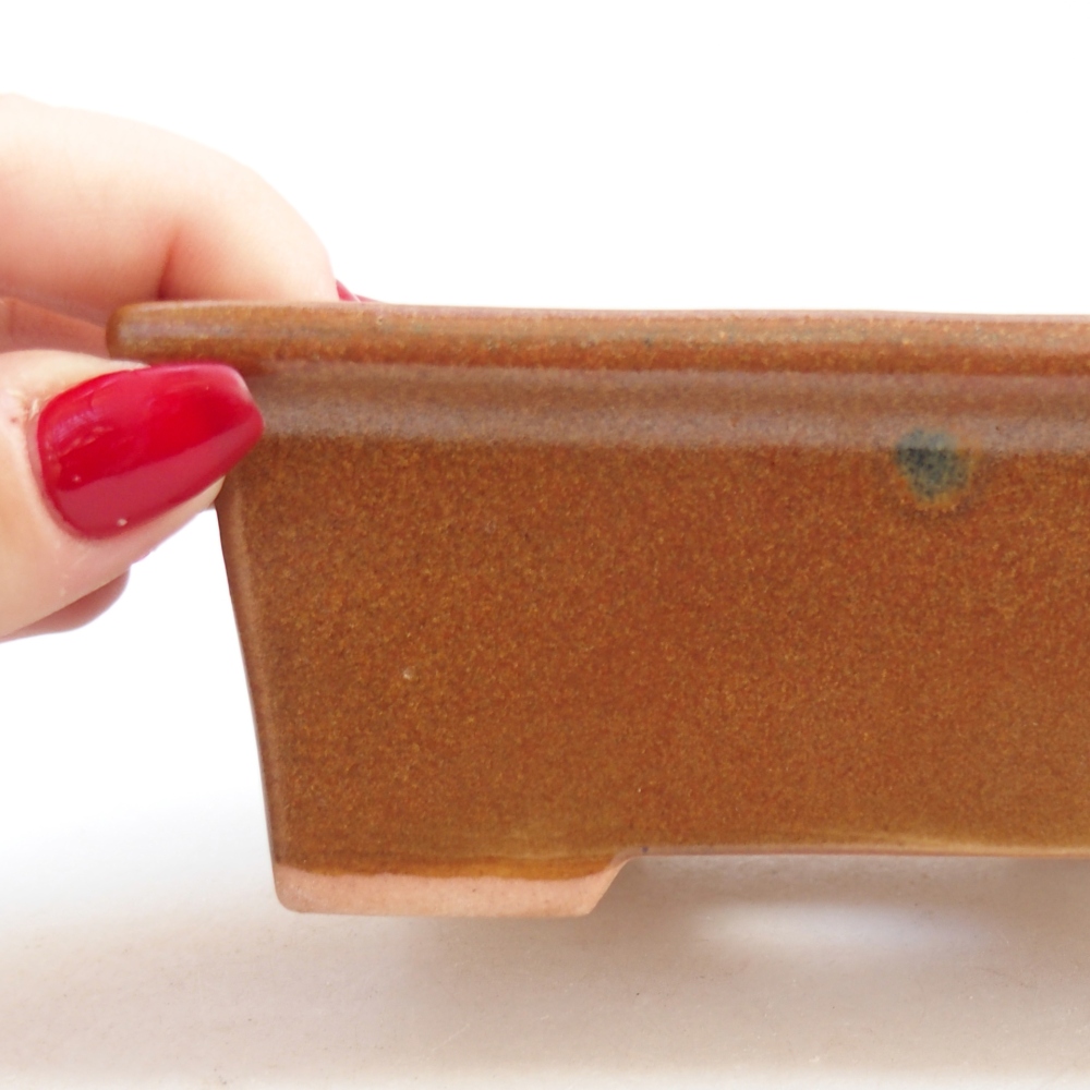 Cuenco bonsái de cerámica 11,5 x 9 x 4,5 cm, marrón