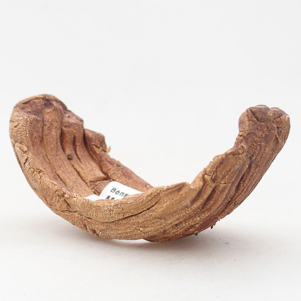 Concha de cerámica 9 x 4,5 x 4,5 cm , color marrón